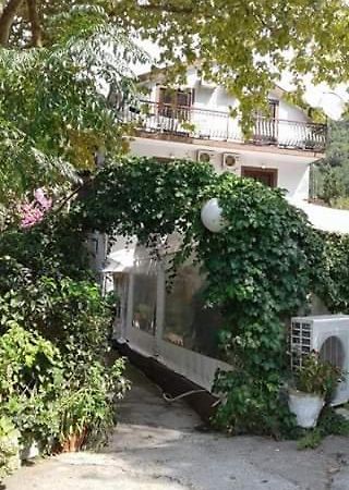 Bed and Breakfast Pansion Mimoza Herceg Novi Exterior foto