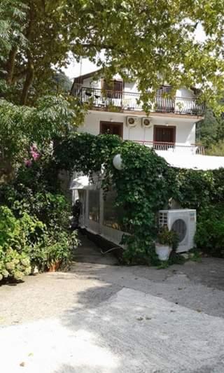 Bed and Breakfast Pansion Mimoza Herceg Novi Exterior foto