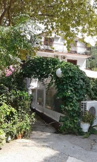 Bed and Breakfast Pansion Mimoza Herceg Novi Exterior foto