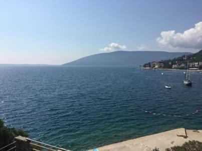 Bed and Breakfast Pansion Mimoza Herceg Novi Exterior foto